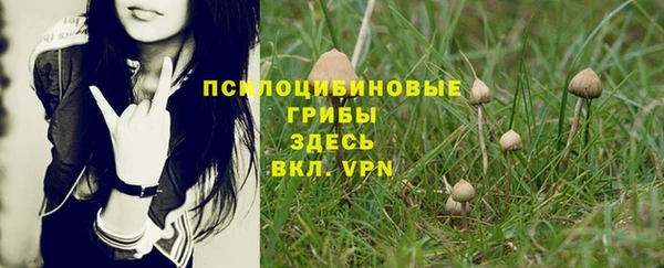 jwh Аркадак