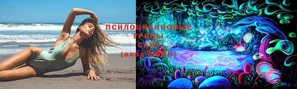сатива Армянск