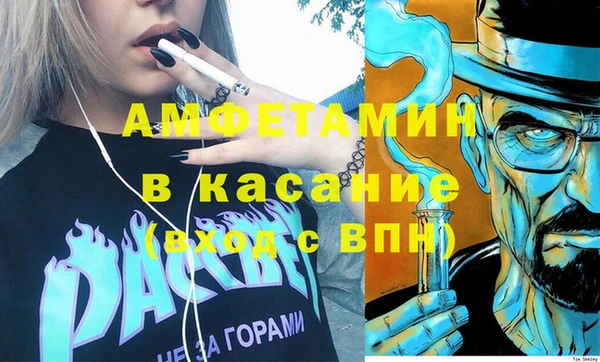 сатива Армянск