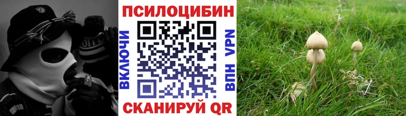 Псилоцибиновые грибы прущие грибы  Купить  Сковородино 