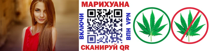 Купить  Сковородино  Шишки марихуана марихуана 